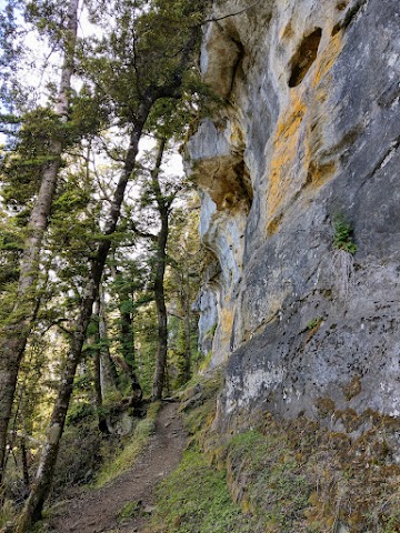 Fiordland National Park limestone bluff