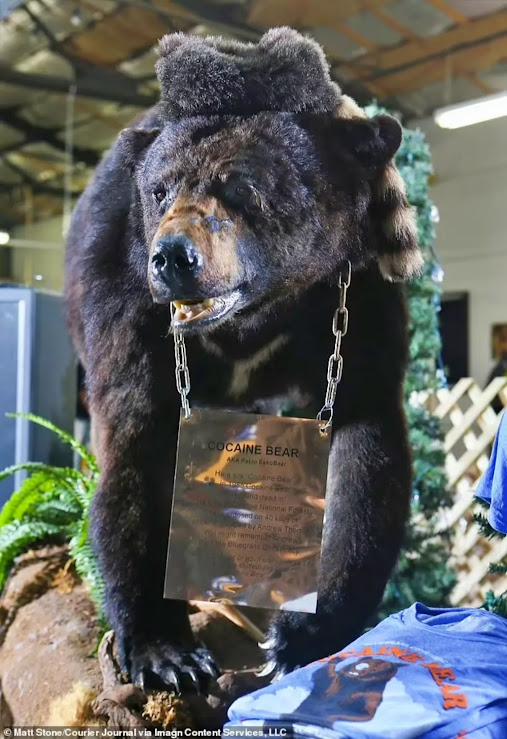 Cocaine Bear: A história real do urso da cocaína