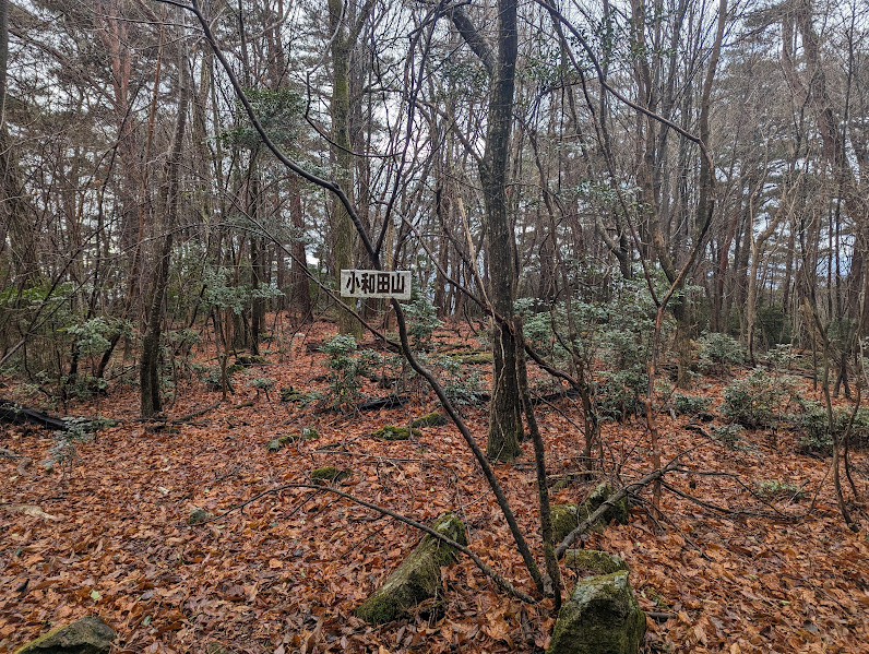 小和田山山頂、眺望は厳しいです。