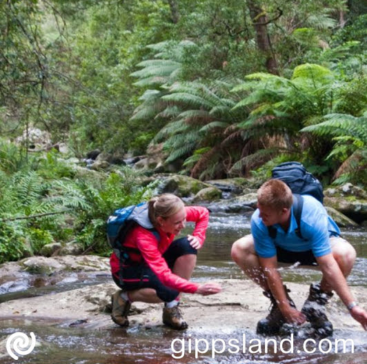 Share your adventures using #gettracking #themiddleofeverywhere #wellingtontracksandtrails. Tag Wellington Shire Council and The Middle of Everywhere!