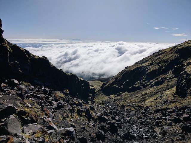 Mount Taranaki Summit Track Hongi Valley gully sea of clouds