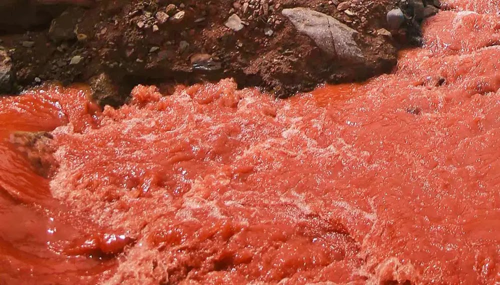 O fascinante fenômeno natural do Rio Vermelho do Peru