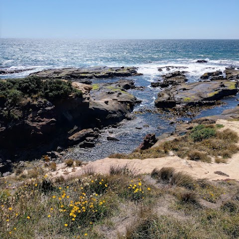 Shag Point Fur Seal Viewing Walk