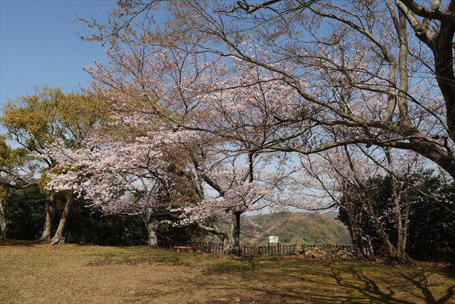 浜田城跡