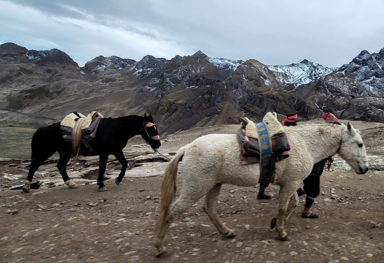 Salcantay Trek + Перуанская Амазонка, май-июнь 2022.