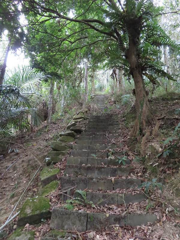 2022_嘉義～竹崎大坑步道 & 竹崎大坑山**