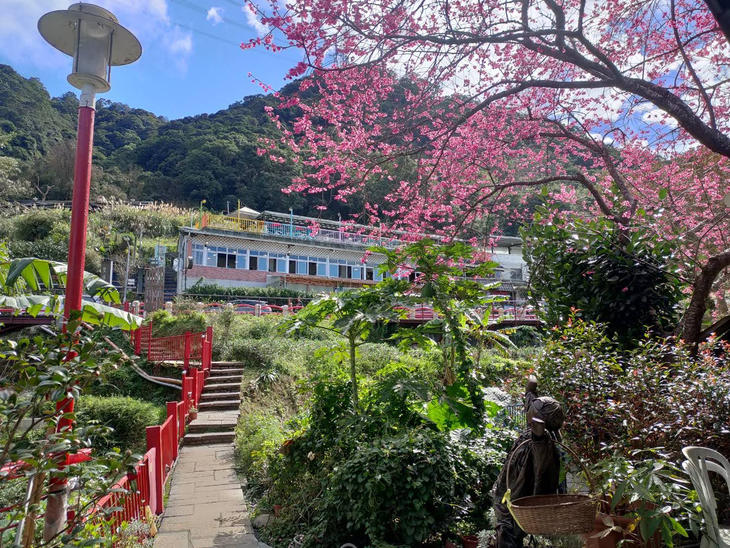 環保阿嬤的女兒唐玉書和女婿帶我去木柵貓空雙橡園用午餐(三)2