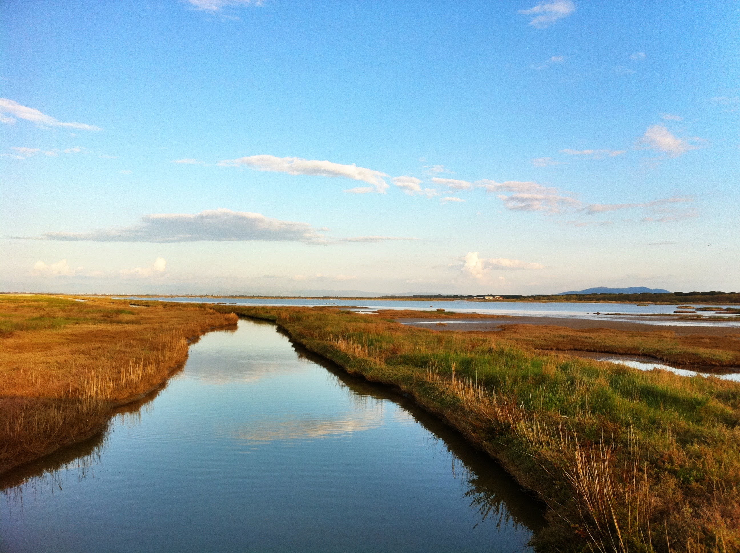 Riserva Naturale Diaccia Botrona, Castiglione della Pescaia