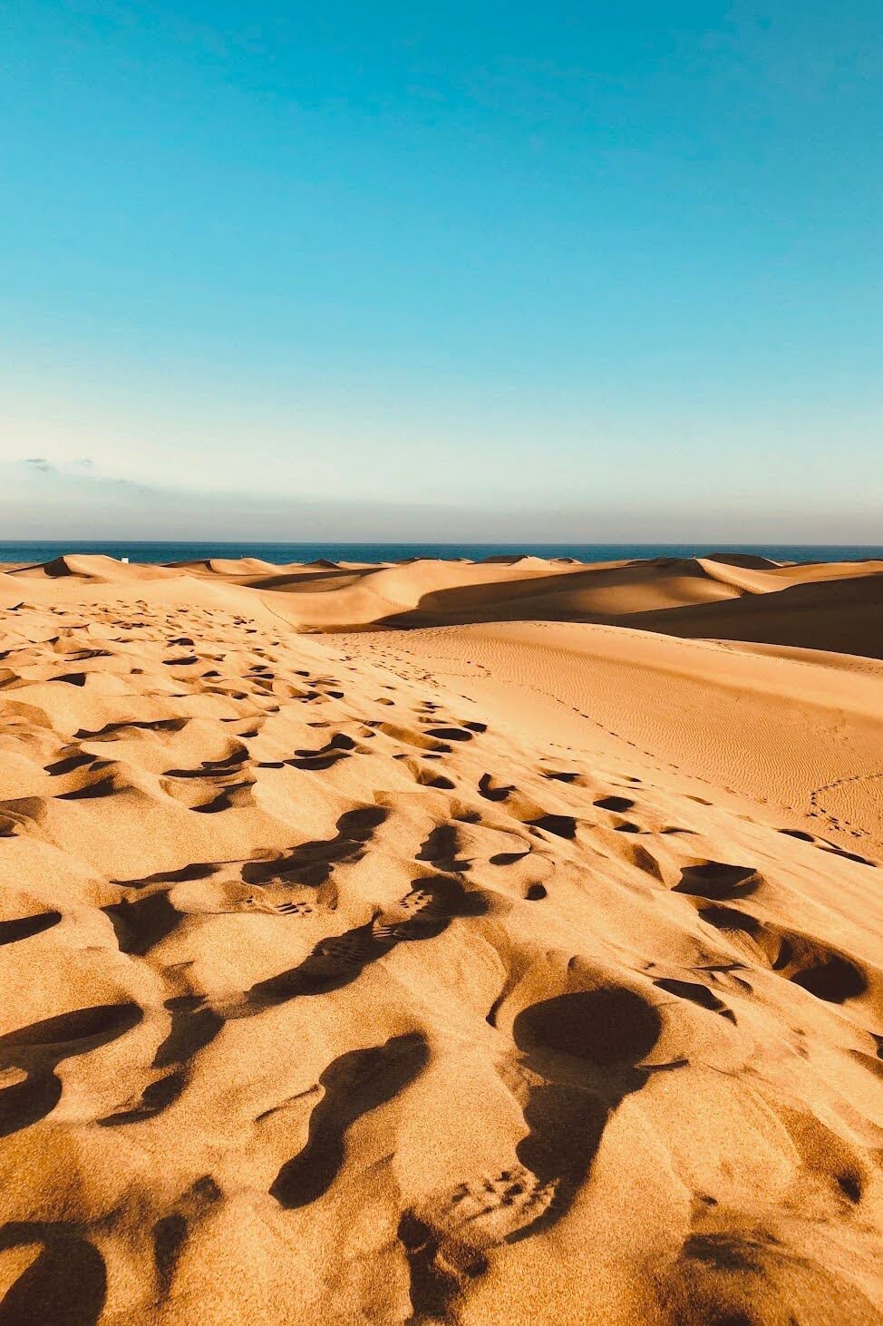 Duinen van Maspalomas