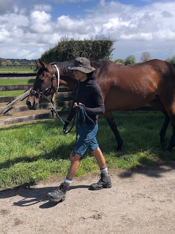 New Zealand Working Holiday Horse Walker