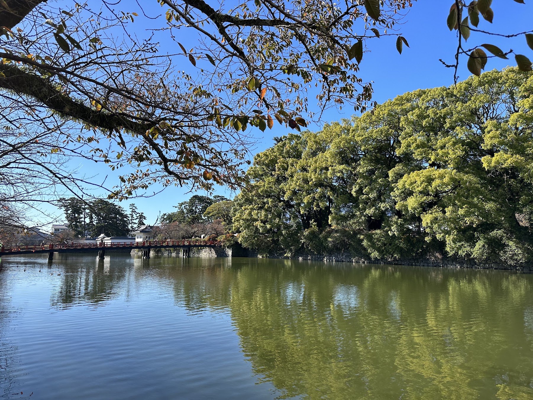 【四處遊盪】2023東京、箱根秋之旅 DAY 3-1~小田原