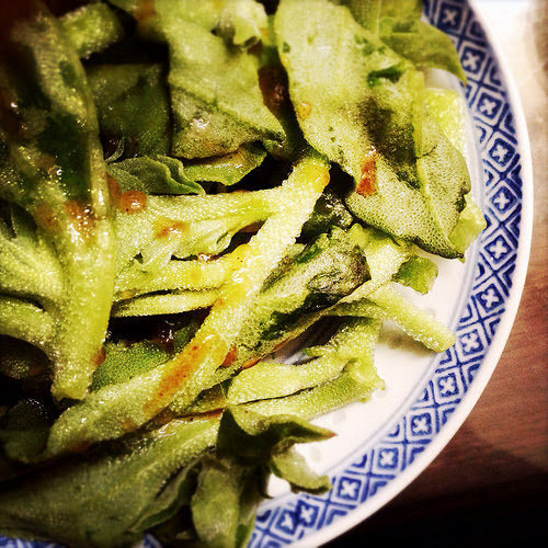 Crystalline Iceplant, iceplant, ice plant, Salad, chinese cold dish, Soy Sesame Dressing, chinese dressing,  冷拌, 水晶冰菜, chinese salad, recipe