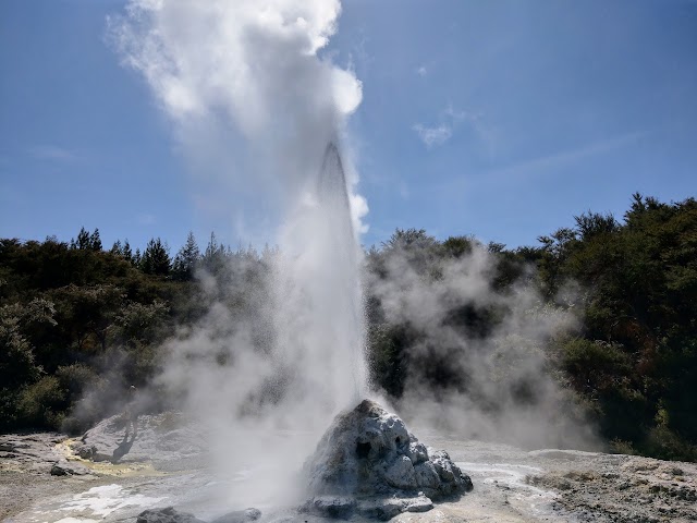 Lady Knox Geyser