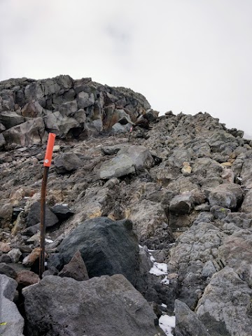 Mt Taranaki Summit Track The Lizard