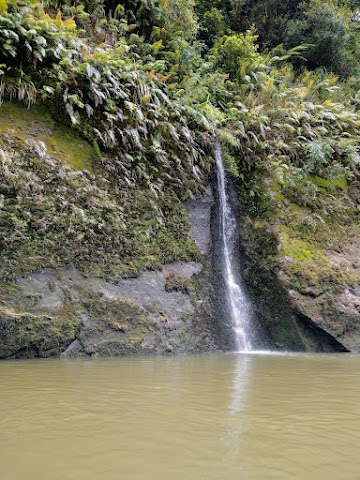 Whanganui National Park River Waterfalls