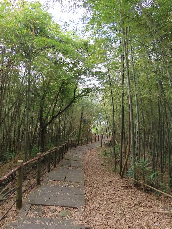 2022_嘉義～竹崎大坑步道 & 竹崎大坑山**