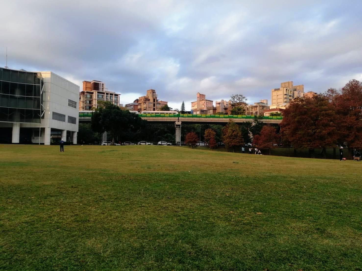 環保阿嬤傍晚大湖公園賞落羽松趣...2024-01-09