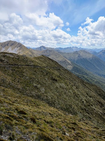 Kepler Track