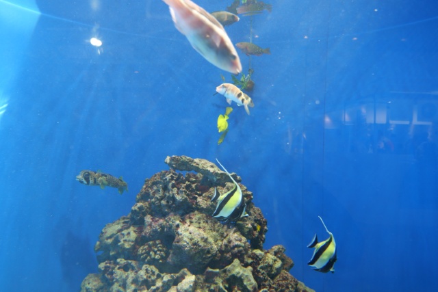 葛西臨海水族園