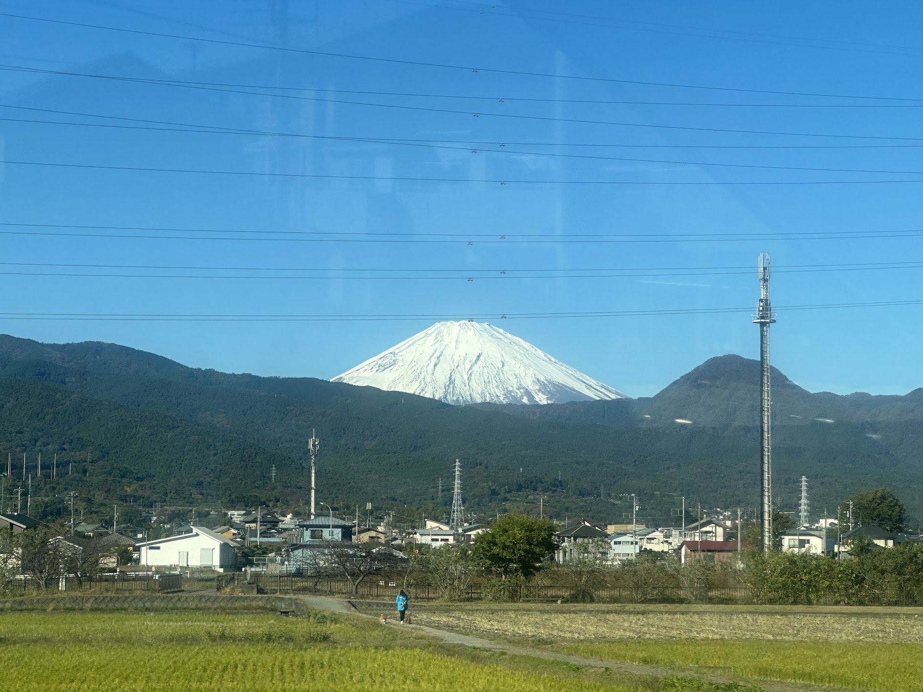 【四處遊盪】2023東京、箱根秋之旅 DAY 3-1~小田原