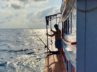 Cruise to the prime fishing grounds