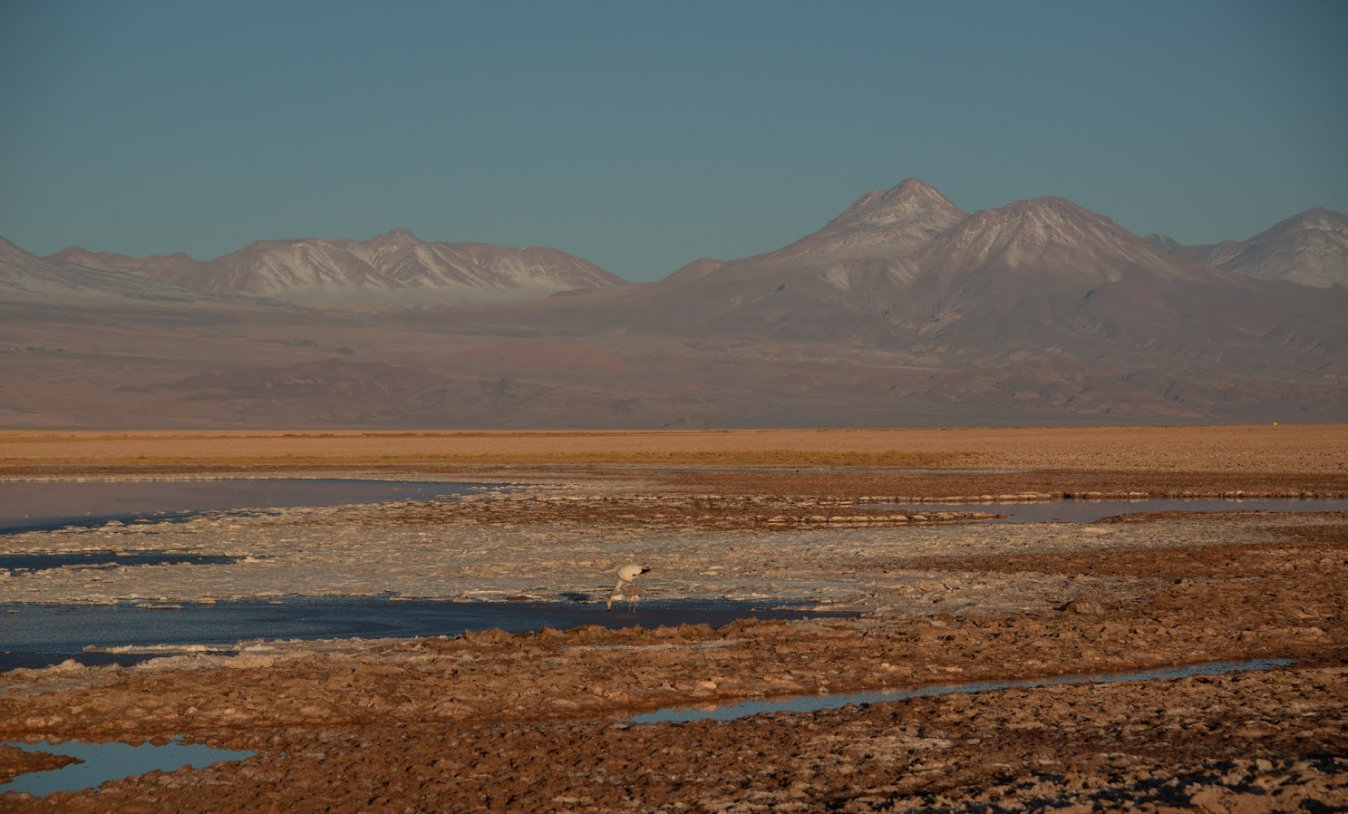 Пустыня Атакама, вырваться на несколько дней в прекрасную Wilderness