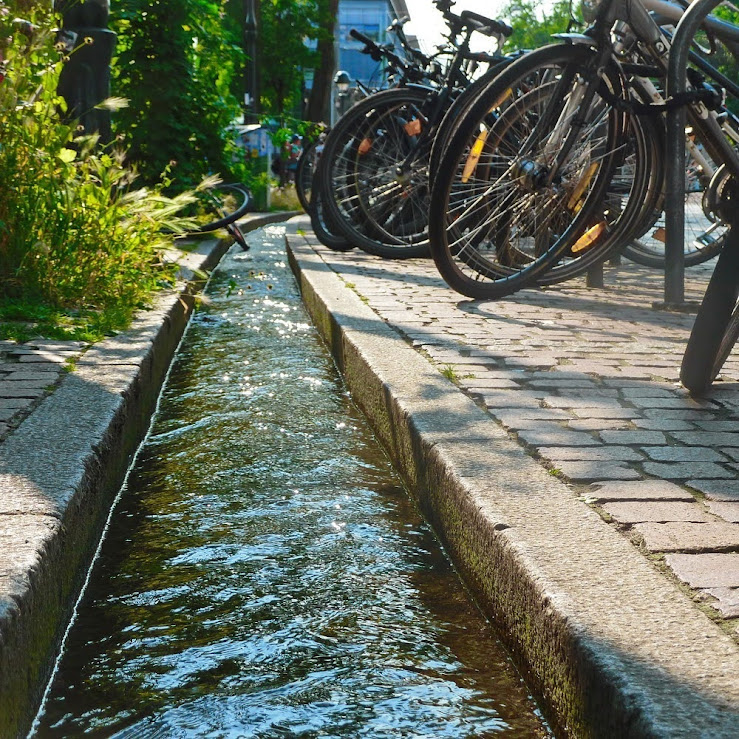 Bochle de Freiburg: As calhas medievais que se tornaram pontos recreativos