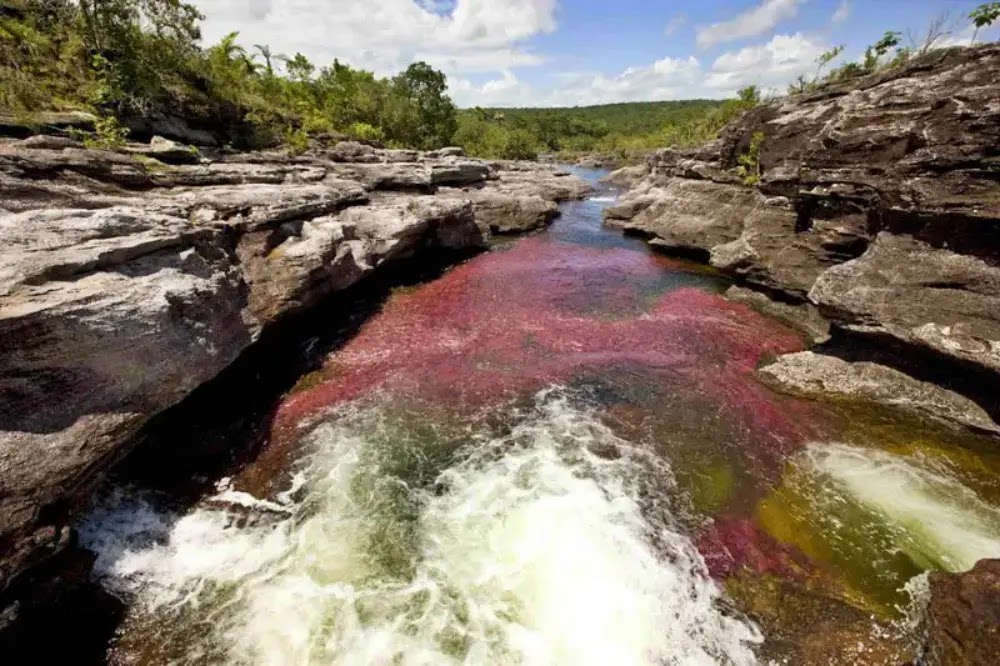 Caño Cristales: O Rio das Cinco Cores da Colômbia