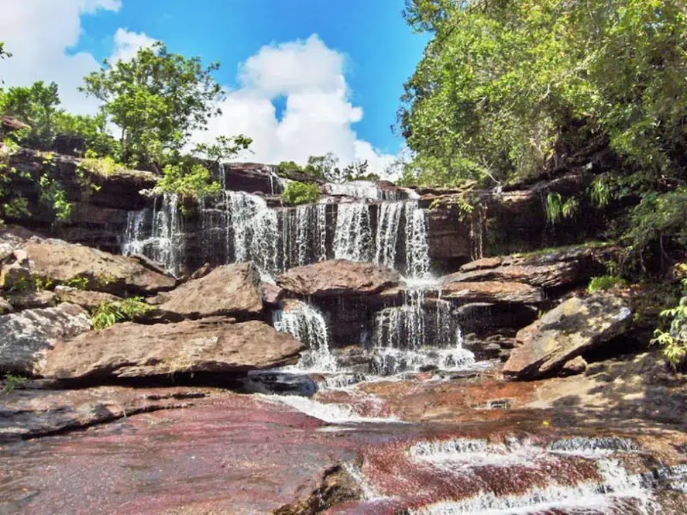 Caño Cristales: O Rio das Cinco Cores da Colômbia