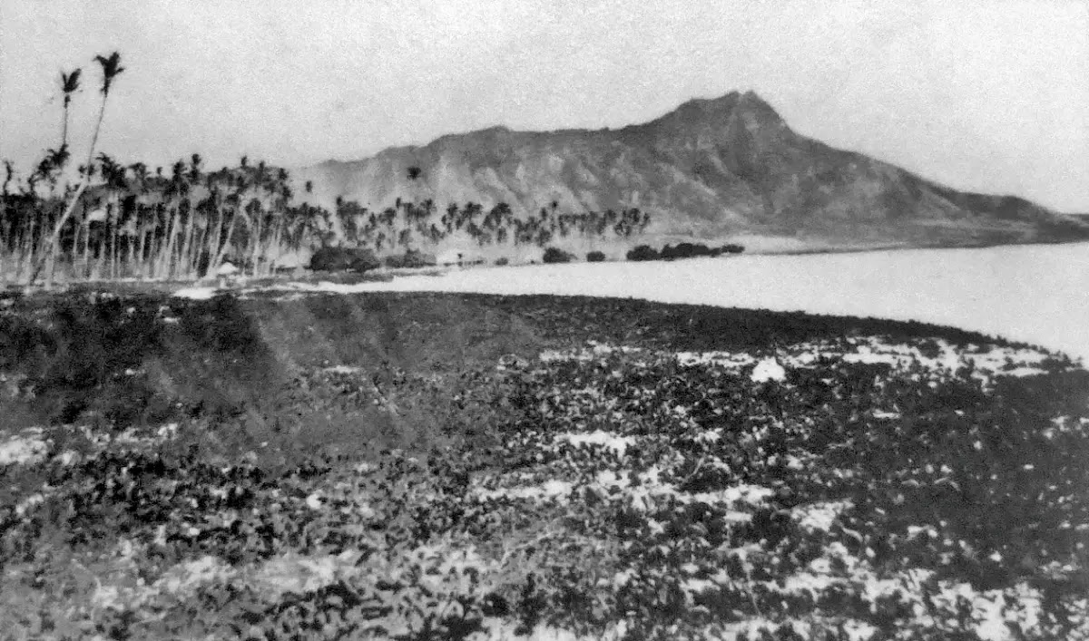 Diamond Head: O cone vulcânico da ilha de O'ahu