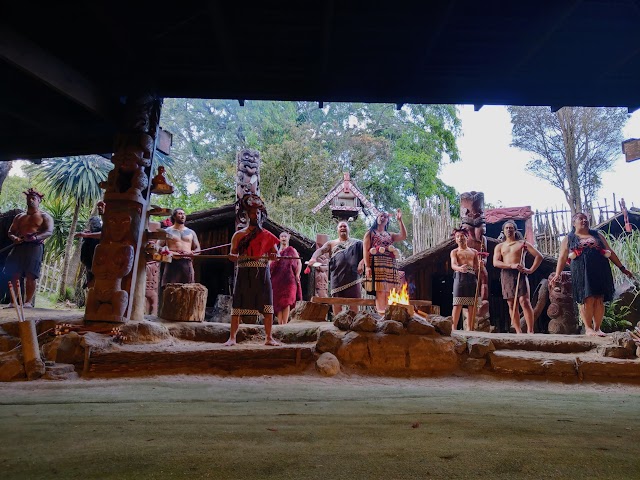 Maori cultural village performance