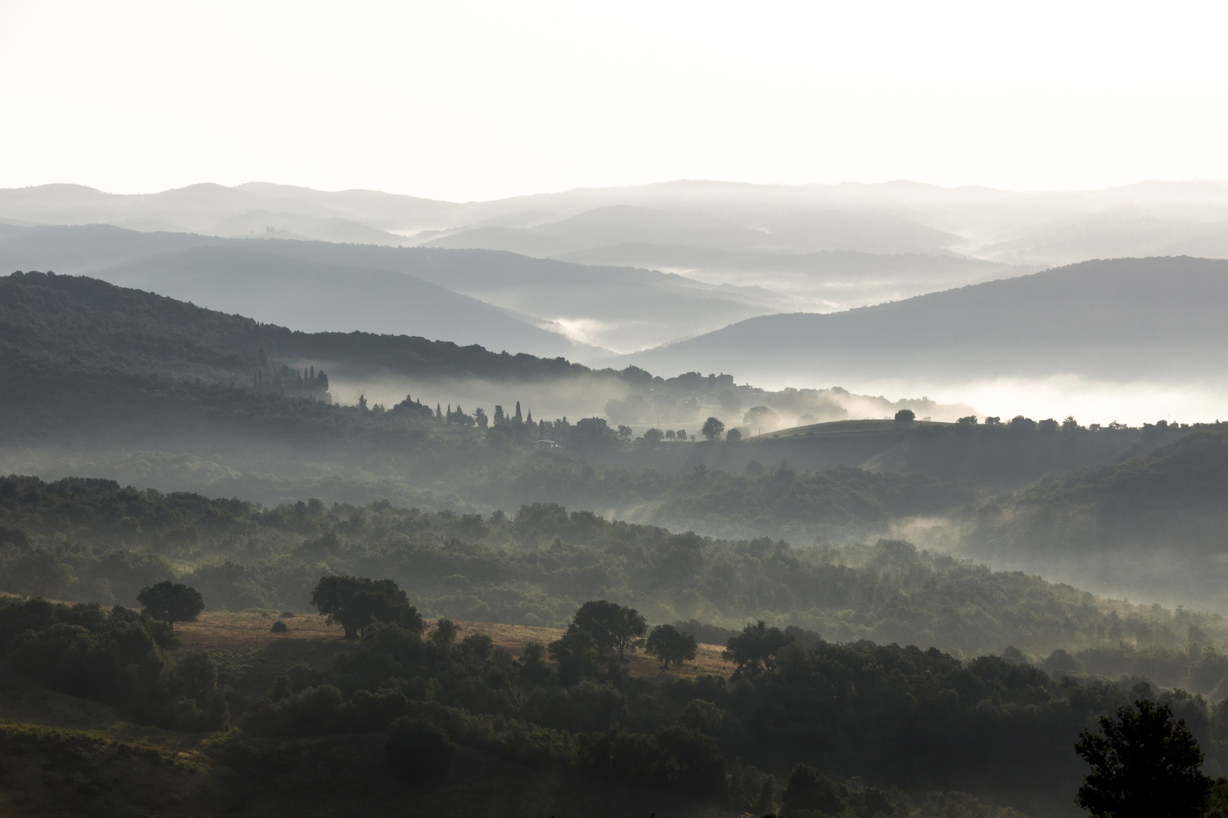 La Maremma Toscana, la Toscana pi verde e lussureggiante