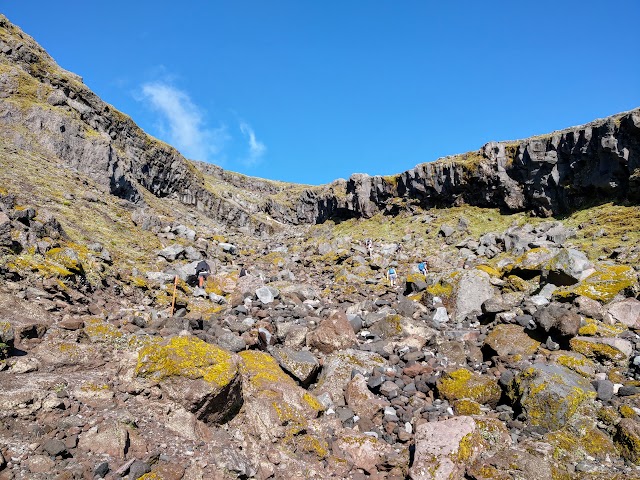 Mount Taranaki Summit Track Hongi Valley gully