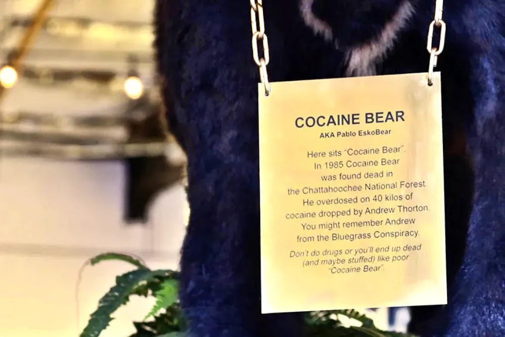 Cocaine Bear: A história real do urso da cocaína