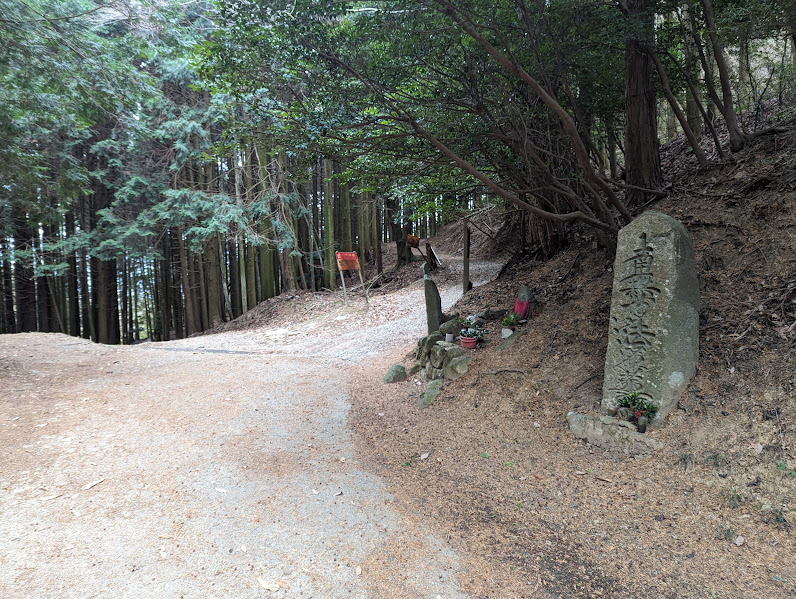 才の神峠を右上の方に進んでいきます。