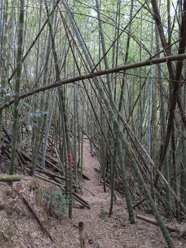 2022_嘉義～水水古道 走 大湖尖山 Ｏ型**