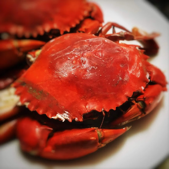 chinese, immature female, Mud Crab, recipe, steamed, virgin, yim chai, 奄仔蟹, 清蒸, 青蟹,