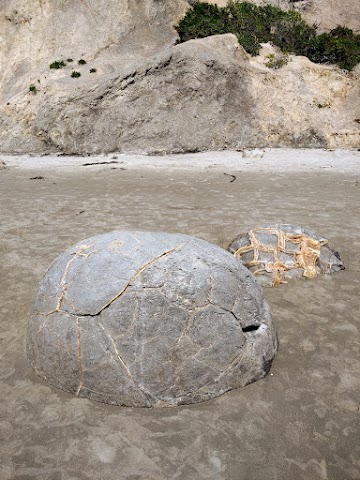 Moeraki Boulders Beach