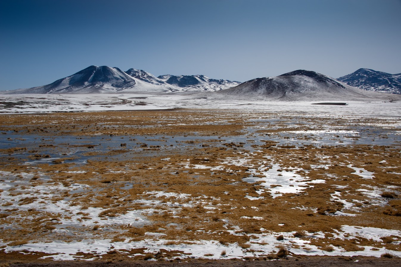 Пустыня Атакама, вырваться на несколько дней в прекрасную Wilderness