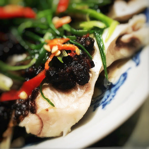 Chen Pi, chinese, chinese dried olive, fermented black bean, miso paste, recipe, steamed fish, Three Bean, 味噌, 欖角, 蒸魚, 豆豉
