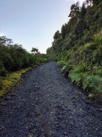 Mount Taranaki Summit Track starting point