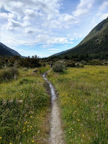 Kepler Track Fiordland National Park