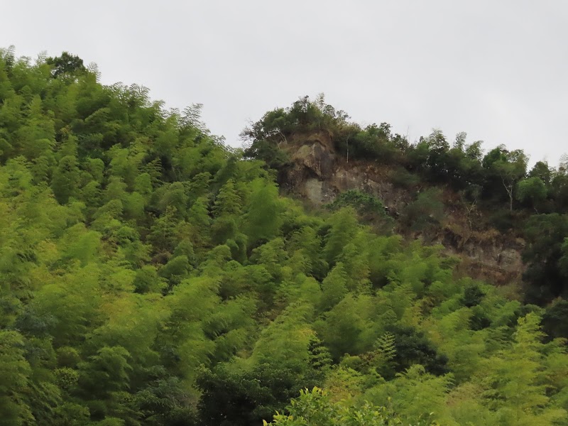 2022_嘉義～水水古道 走 大湖尖山 Ｏ型**