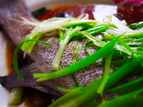 classic, cantonese, steamed, fish, chinese, recipe, chinese steamed fish, 清蒸鱼