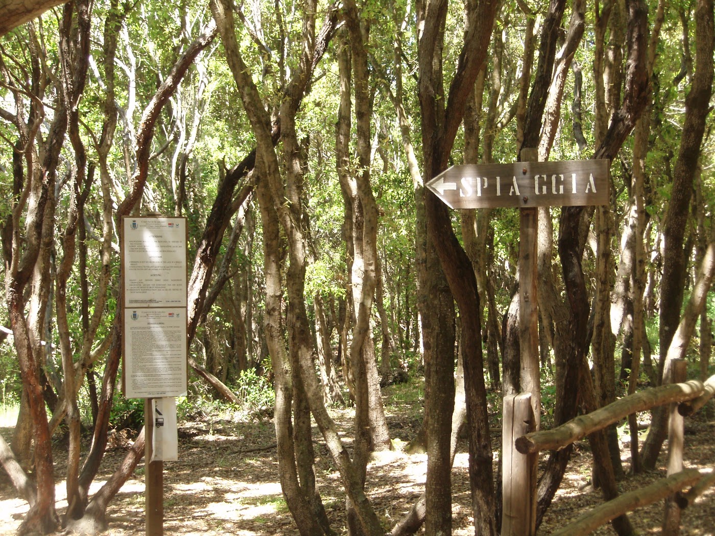 Le Bandite di Scarlino, strada verso Cala Violina, tra le pi belle spiagge in Maremma