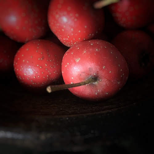 Chinese Hawthorn, Fruit, chinese fruit, mountain hawthorn, chinese haw, chinese hawberry, Crataegus pinnatifida,  山楂, 大紅果