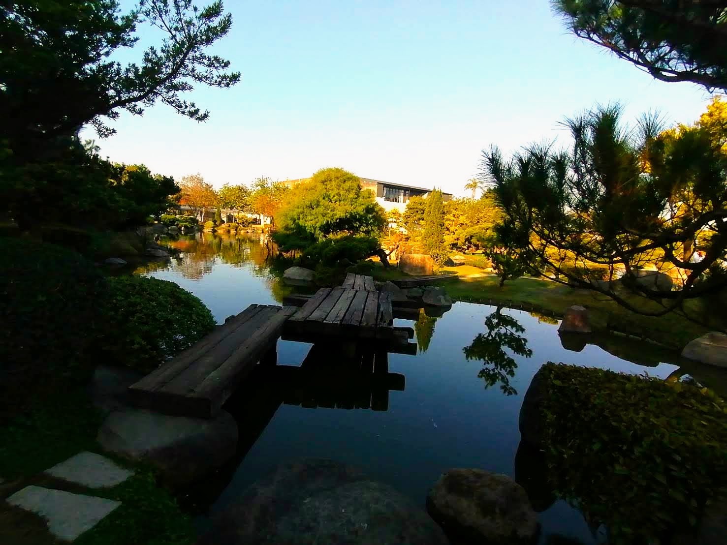 環保阿嬤欣賞澄霖沉香味道***森林館心型池塘種滿的落羽松美景