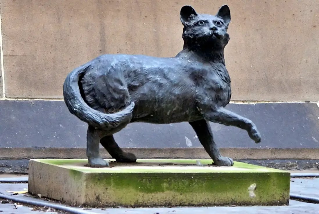 Trim: O gato aventureiro do navegador Matthew Flinders