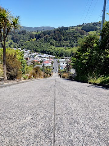 Baldwin Street The STeepest Street In The World