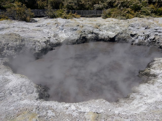 Waiotapu Thermal Wonderland Hot Mud Pool